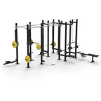 BLOR Functional Hybrid Rig